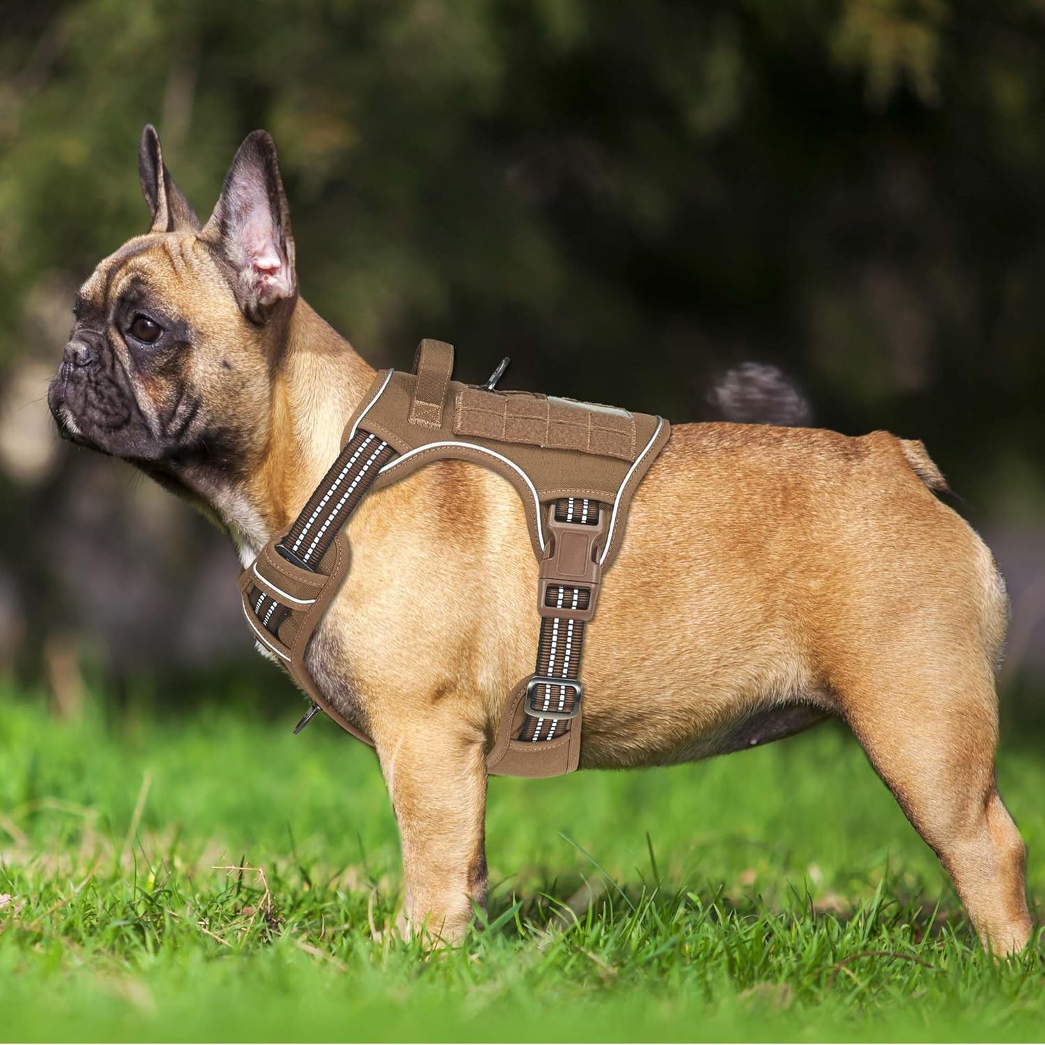 Haapaw Arnés táctico resistente para perros grandes, arnés ajustable para mascotas, reflectante, de fácil control, arnés para perros de trabajo, grande, marrón
