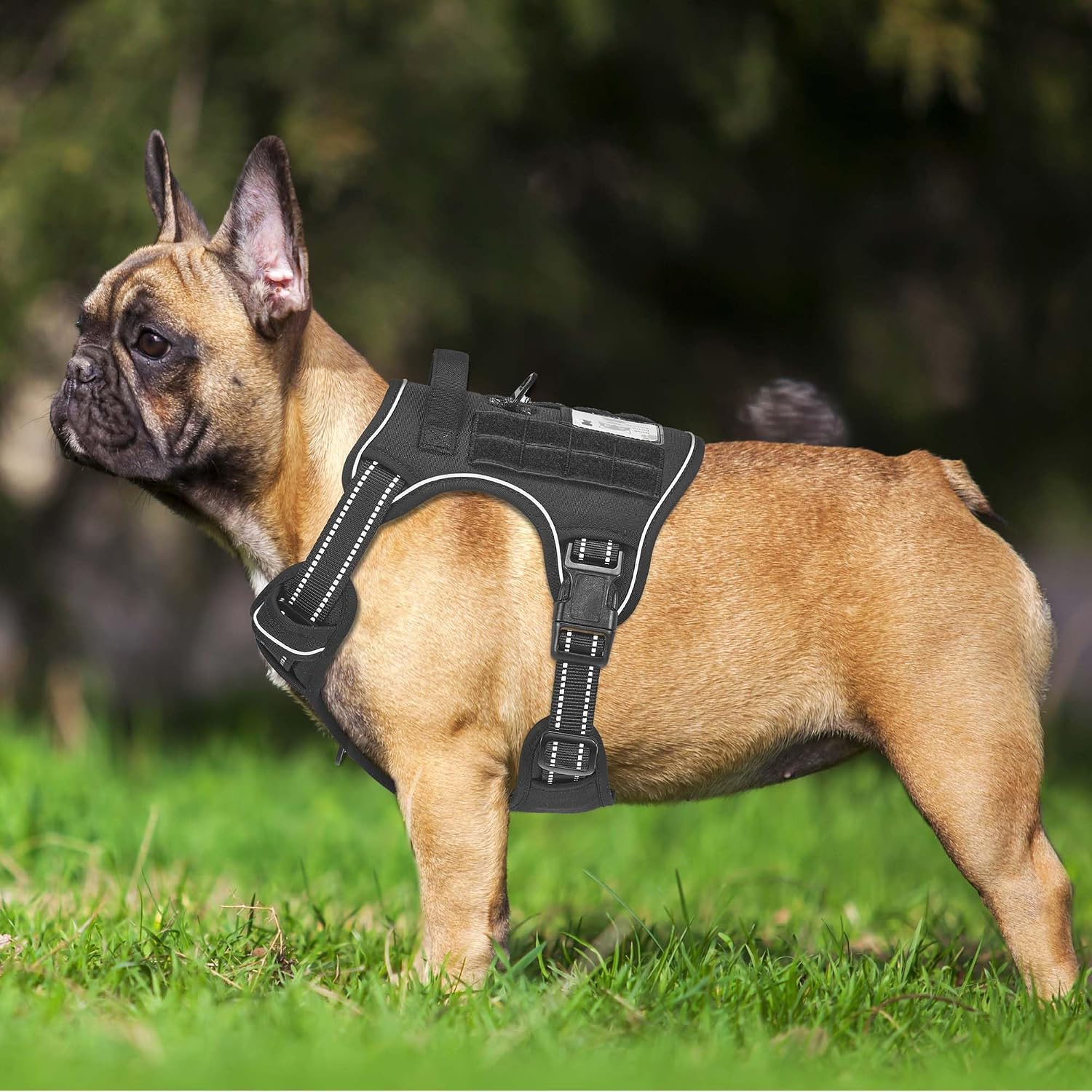 Haapaw Arnés táctico resistente para perros grandes, arnés ajustable para mascotas, reflectante, de fácil control, arnés para perros de trabajo, grande, marrón