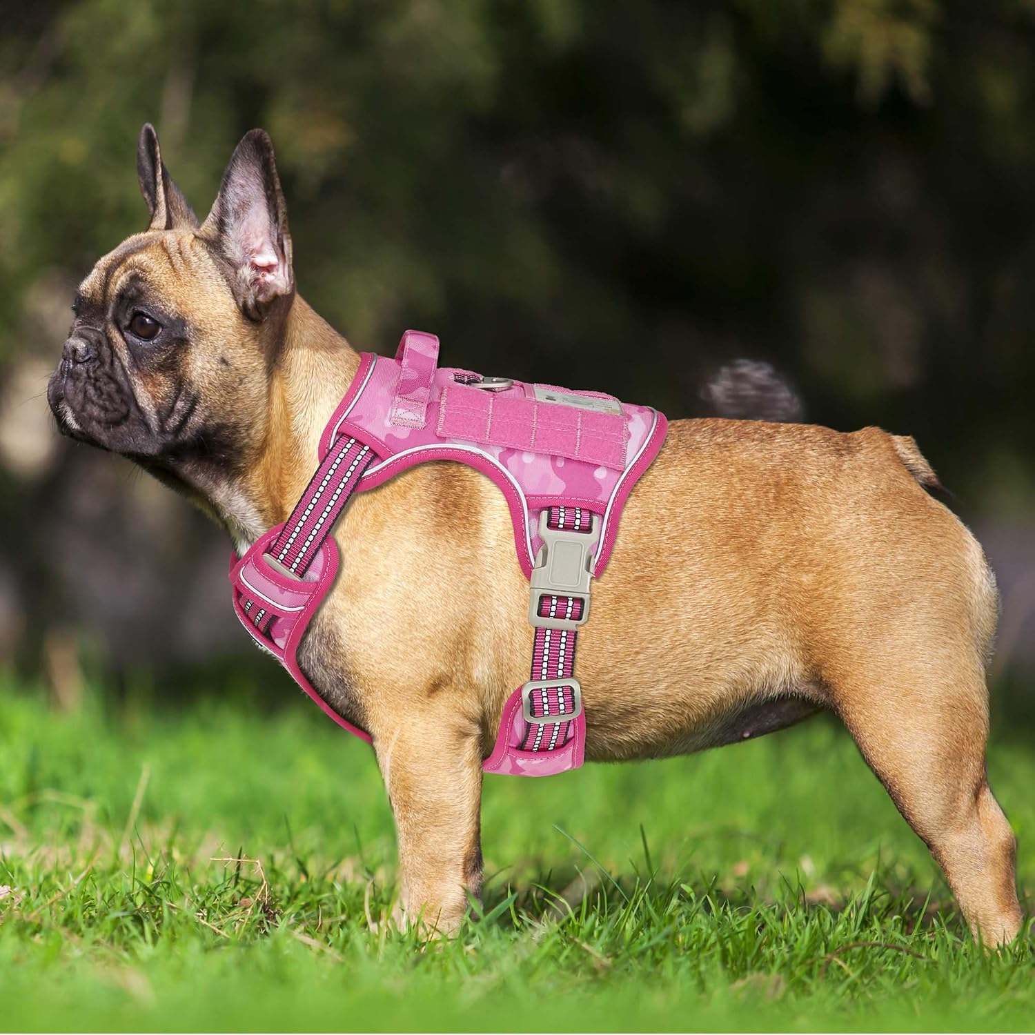 Haapaw Arnés táctico resistente para perros grandes, arnés ajustable para mascotas, reflectante, de fácil control, arnés para perros de trabajo, grande, marrón